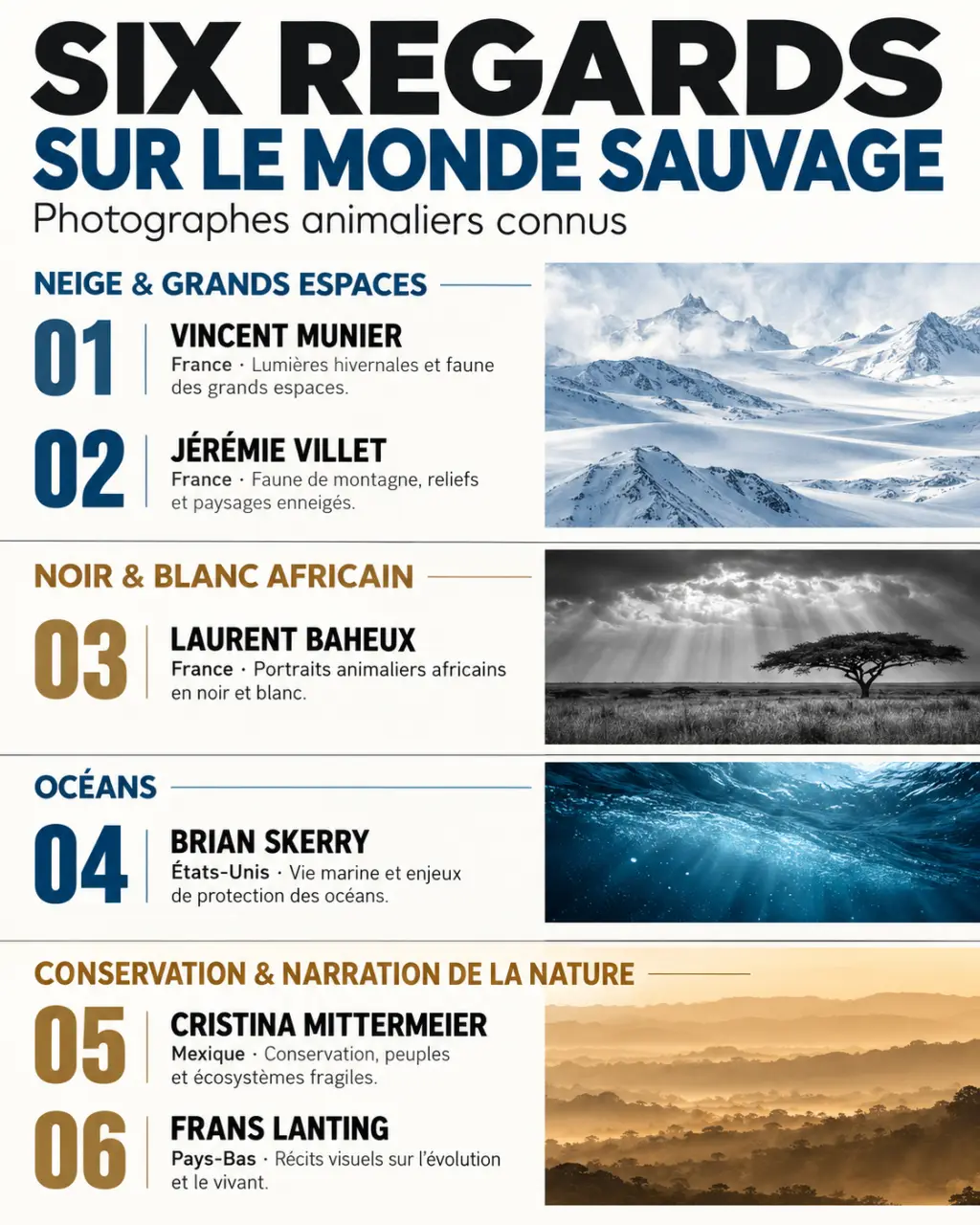 Infographie sur des photographes animaliers connus comme Vincent Munier, Jérémie Villet, Laurent Baheux, Brian Skerry, Cristina Mittermeier et Frans Lanting
